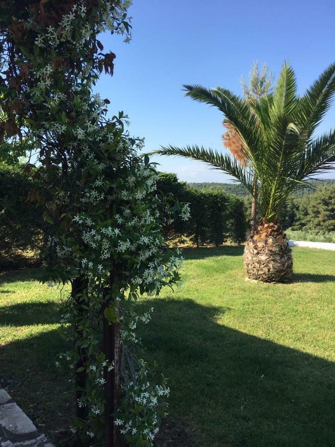 3 Bedroom Villa In Elani Villas Chalkidiki سيفيري المظهر الخارجي الصورة